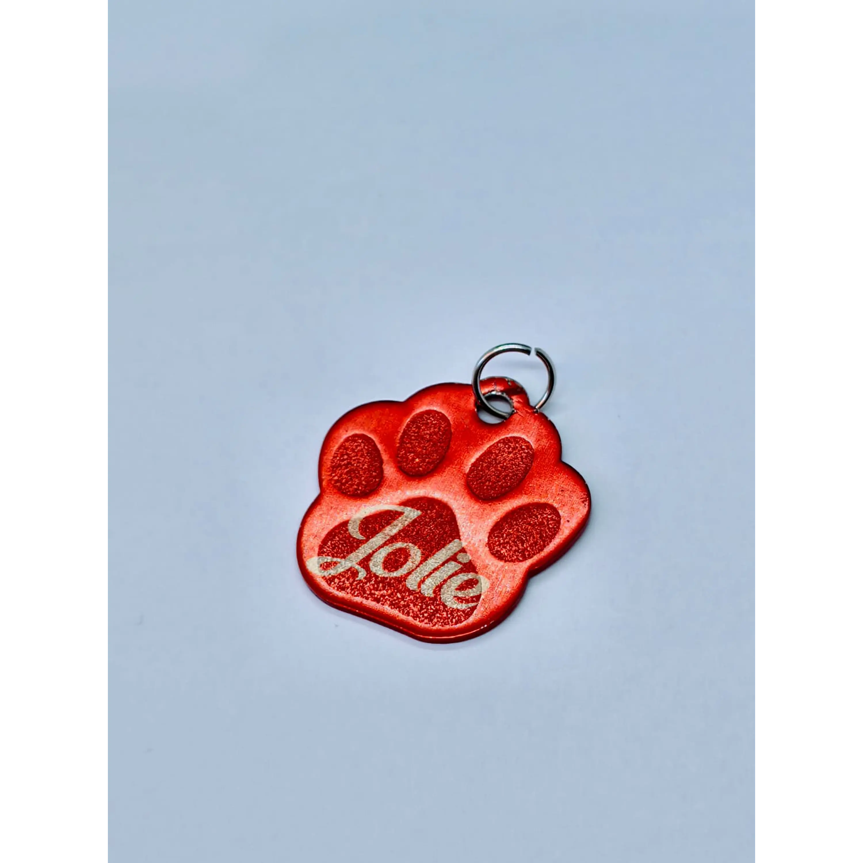 Chapas de Identificação Metálicas • Formato Patinha 4
