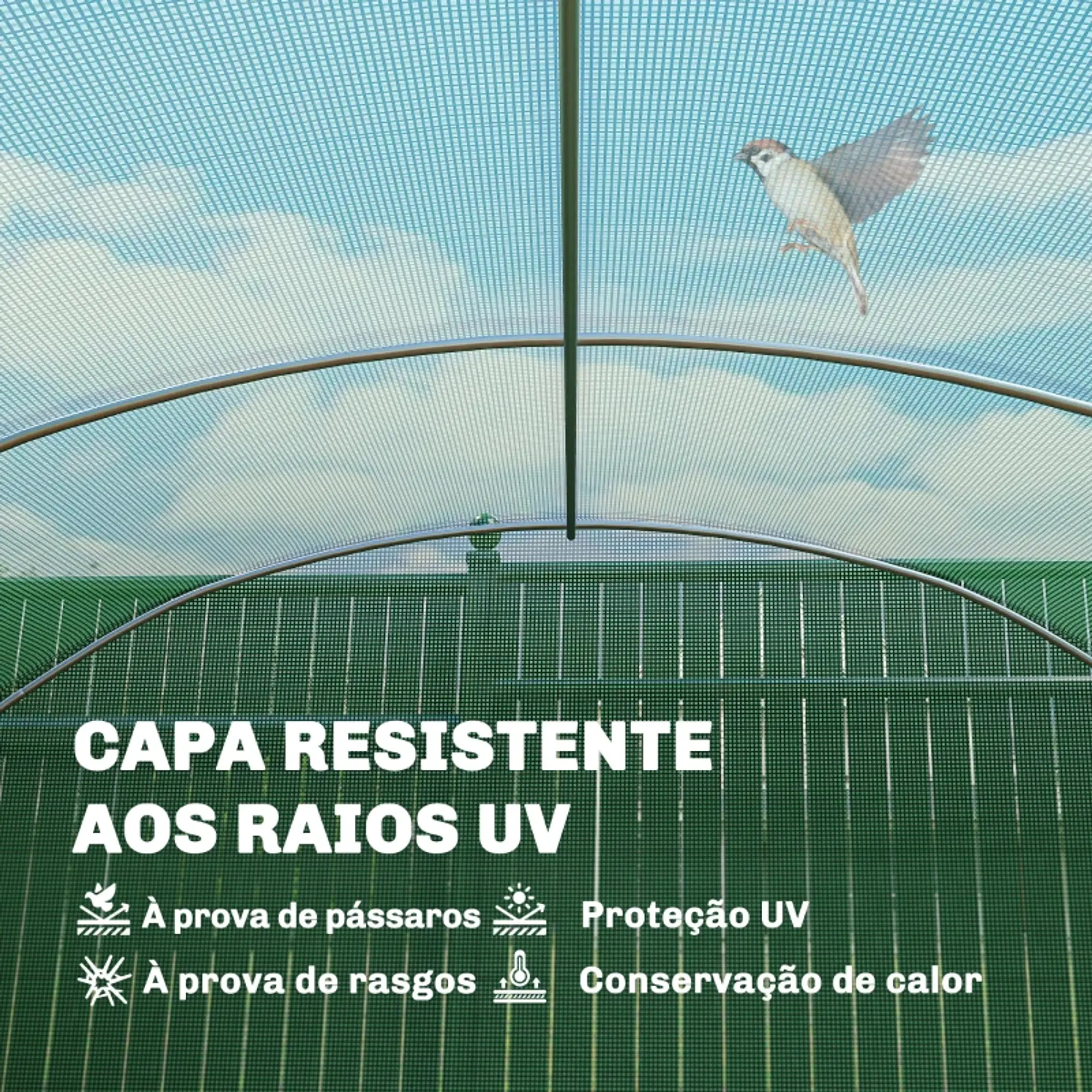 Estufa Tipo Túnel 6x3x2 m 7