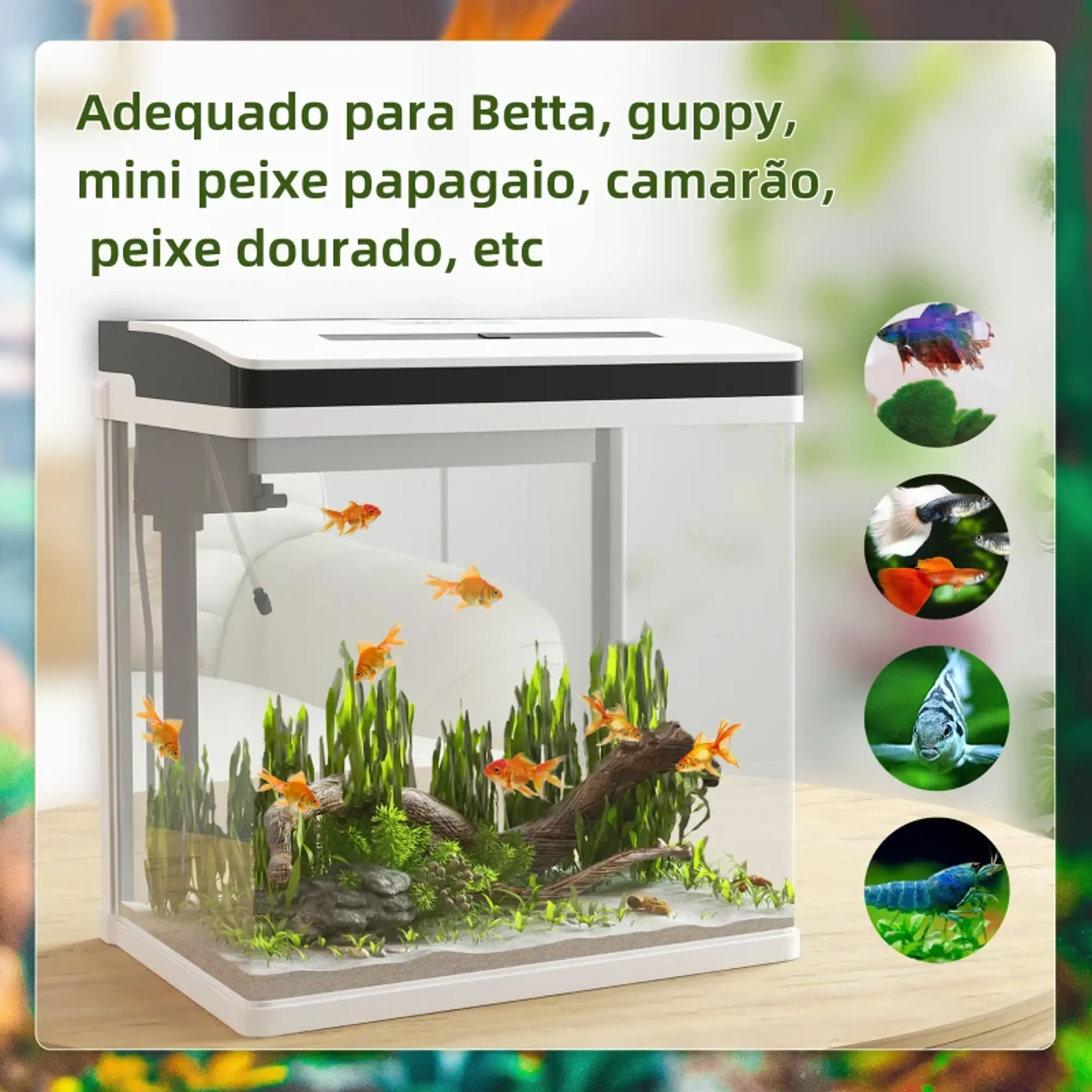 Aquário de Cristal de 28L com Sistema de Filtração 6