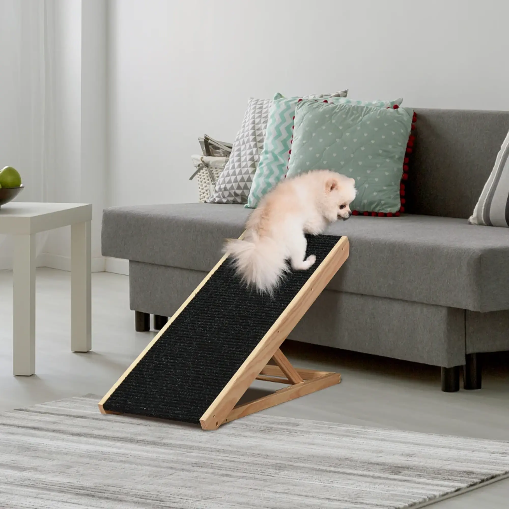 Rampa Dobrável para Cães e Gatos 2