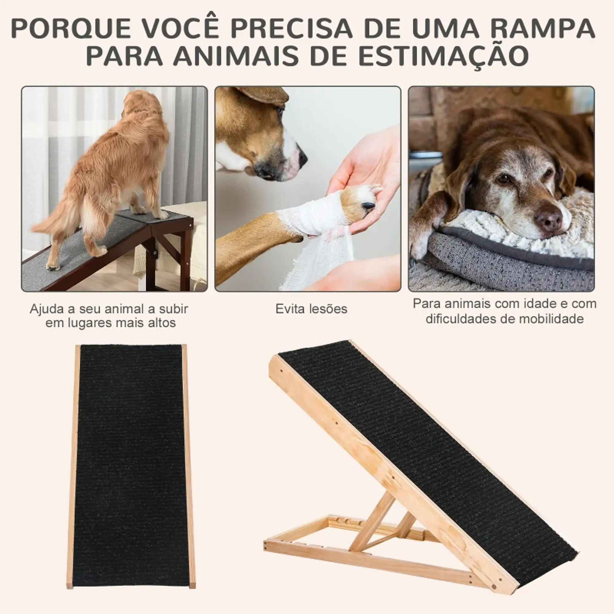 Rampa Dobrável para Cães e Gatos 7