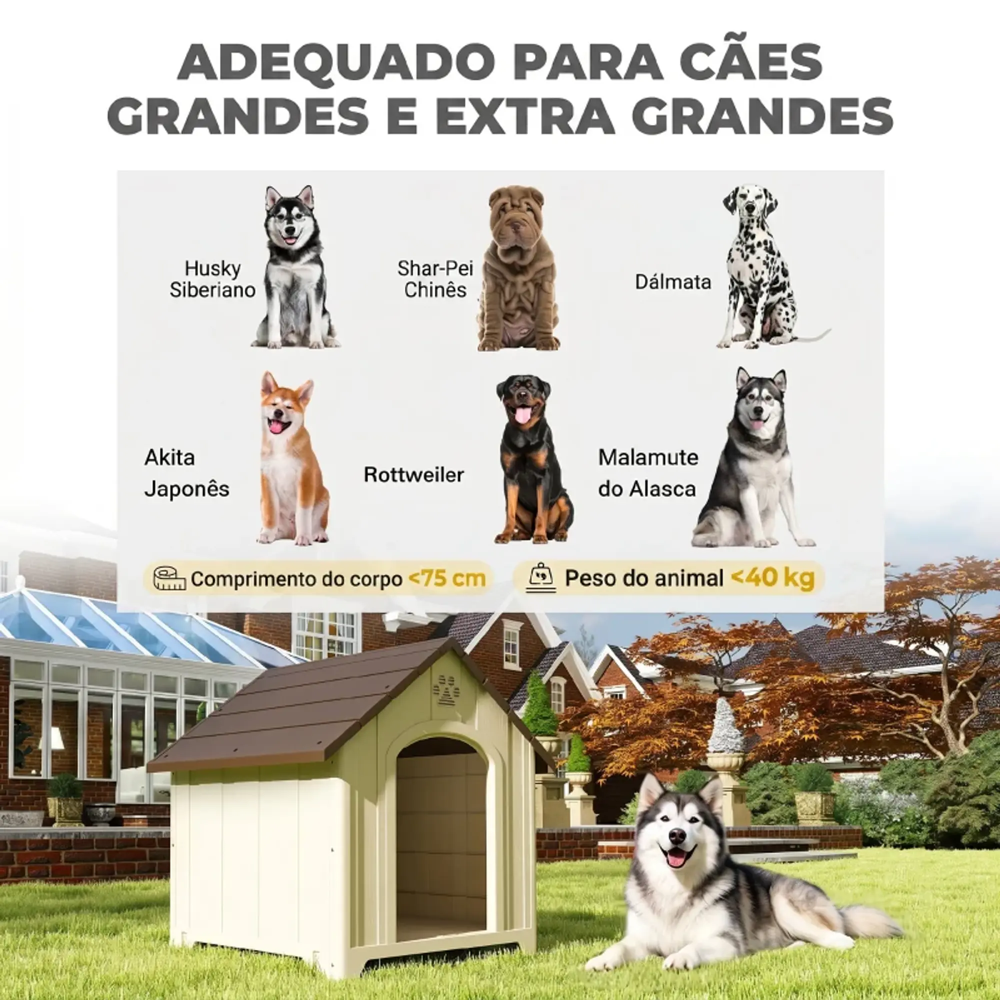 Casota para Cães de Exterior 7