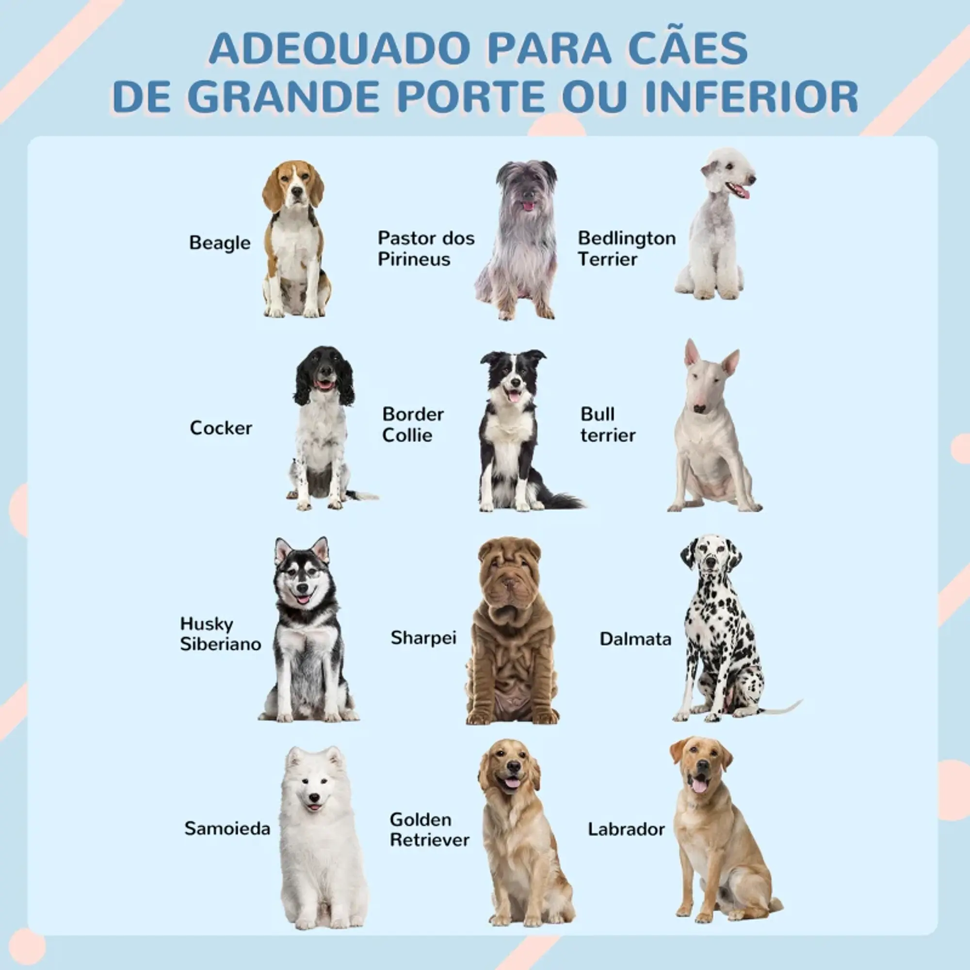 Casota para Cães 84,2x98,2x82 cm - Polipropileno 6