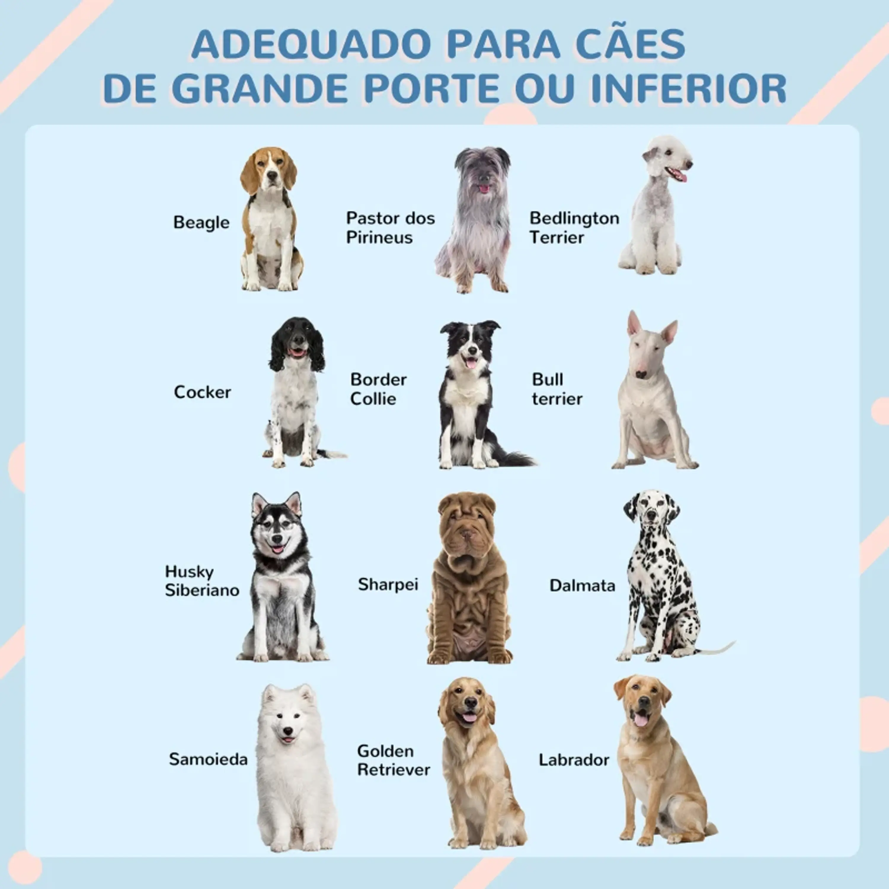 Casota para Cães 84,2x98,2x82 cm - Polipropileno 6