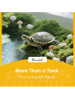 Aquário para Tartarugas Terrário Visão Panorâmica 360° 60x35x28 cm