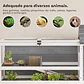 Casa para Tartarugas de Madeira Terrário para Répteis - Thumbnail 5