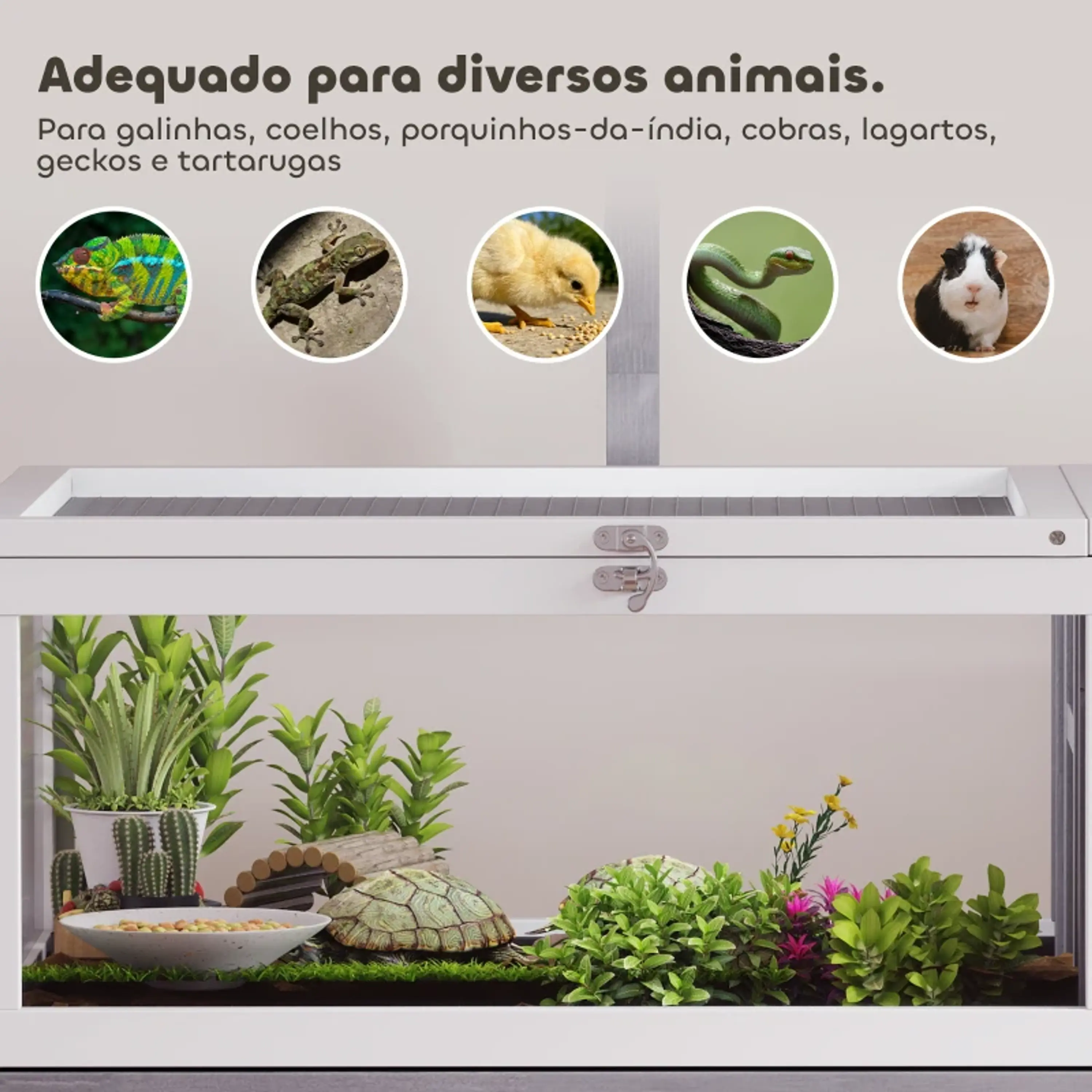 Terrário para Répteis com 2 Tetos Articulados 9