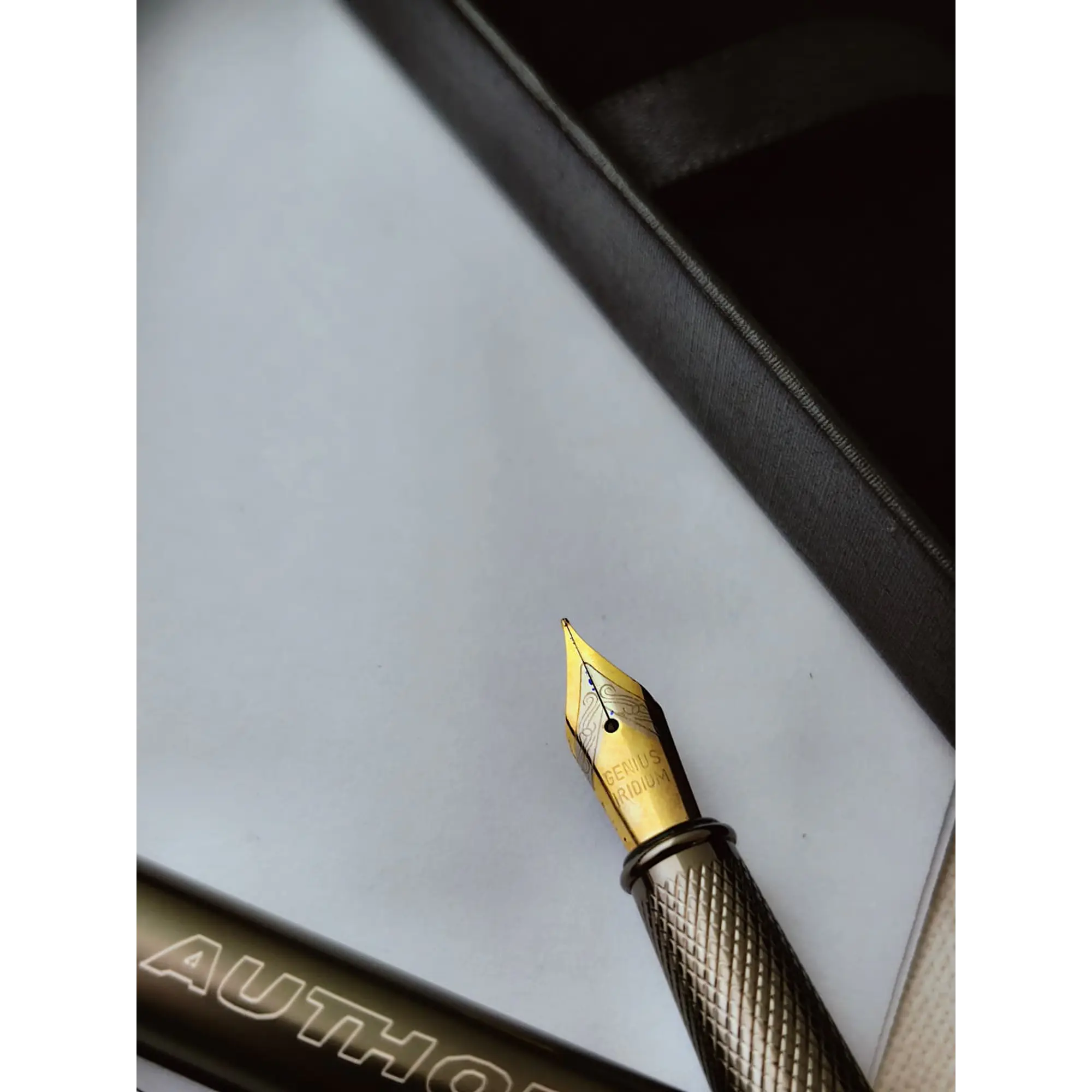 Caneta de Caligrafia Author + Recarga 6