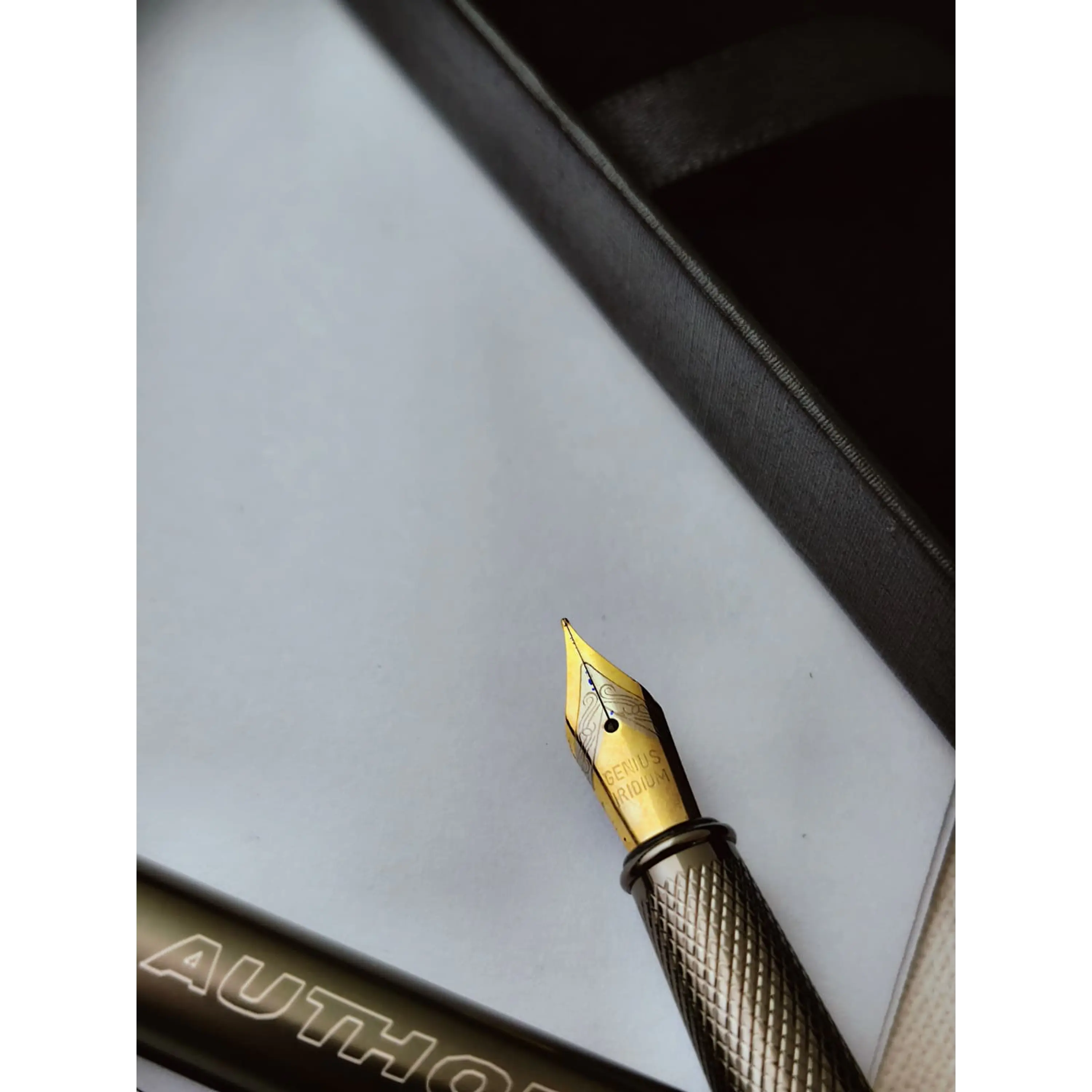 Caneta de Caligrafia Author + Recarga 6