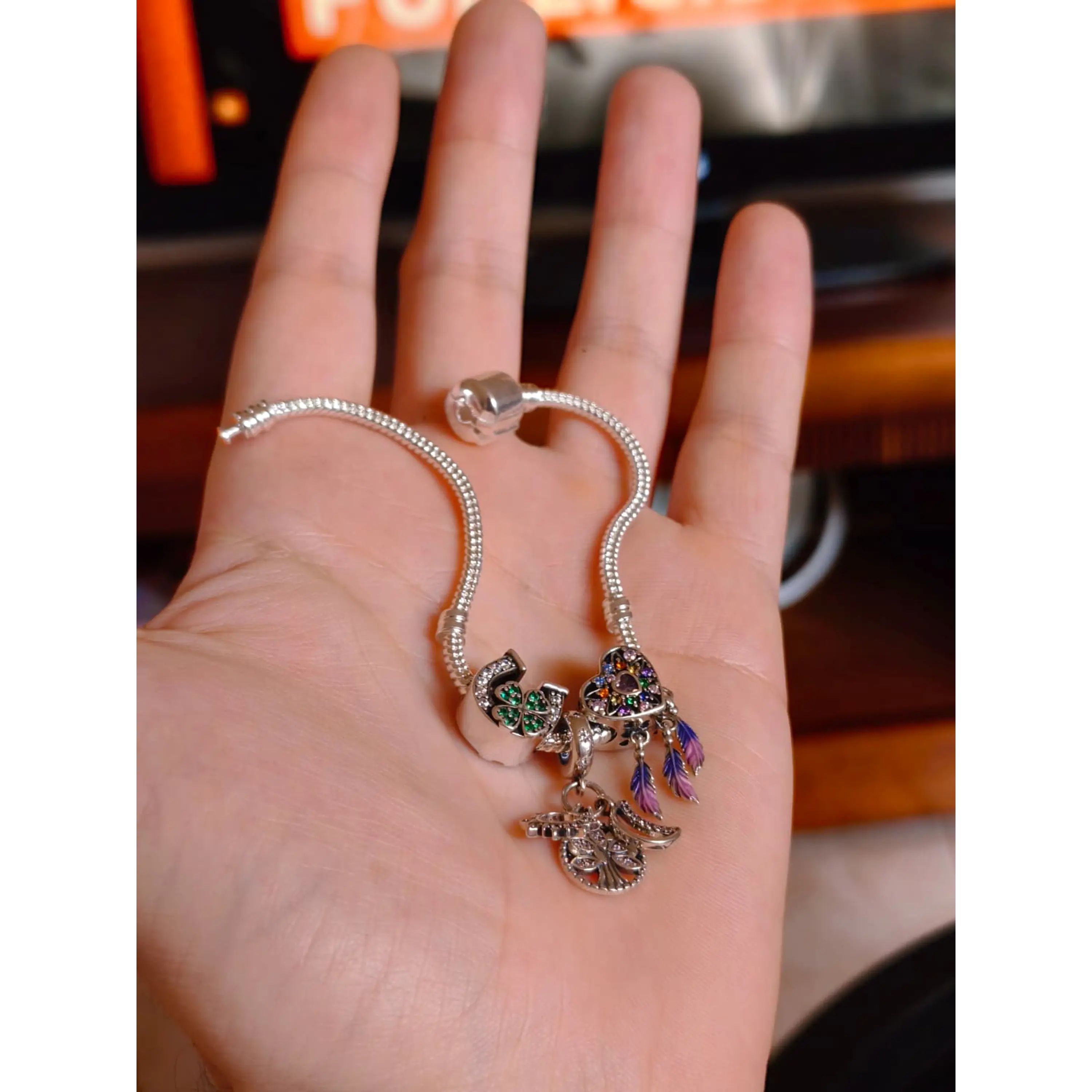 Pulseira Prateada com Charms da Sorte e Proteção 4