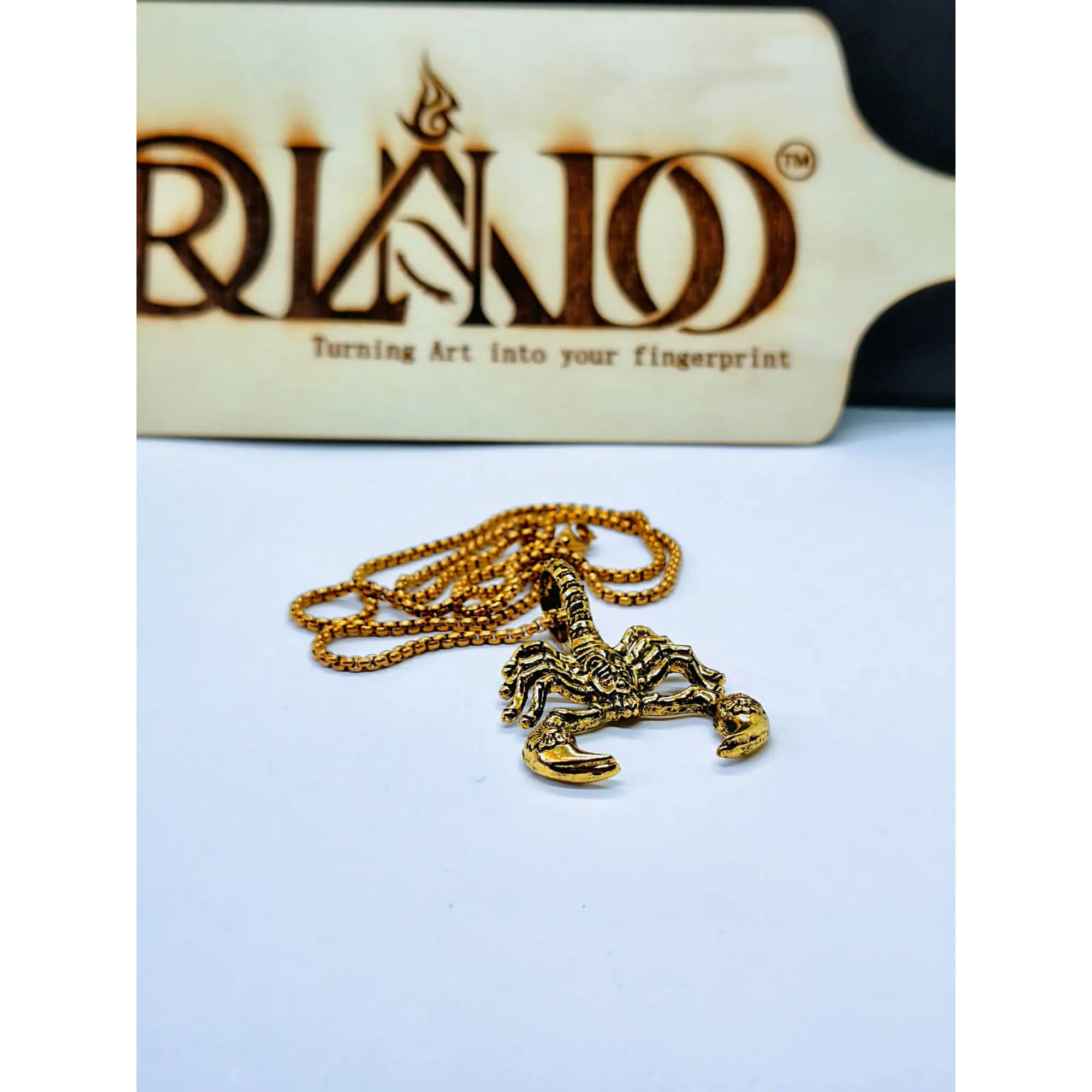 Colar com Pendente de Escorpião Dourado – Corrente de Aço Inoxidável 5
