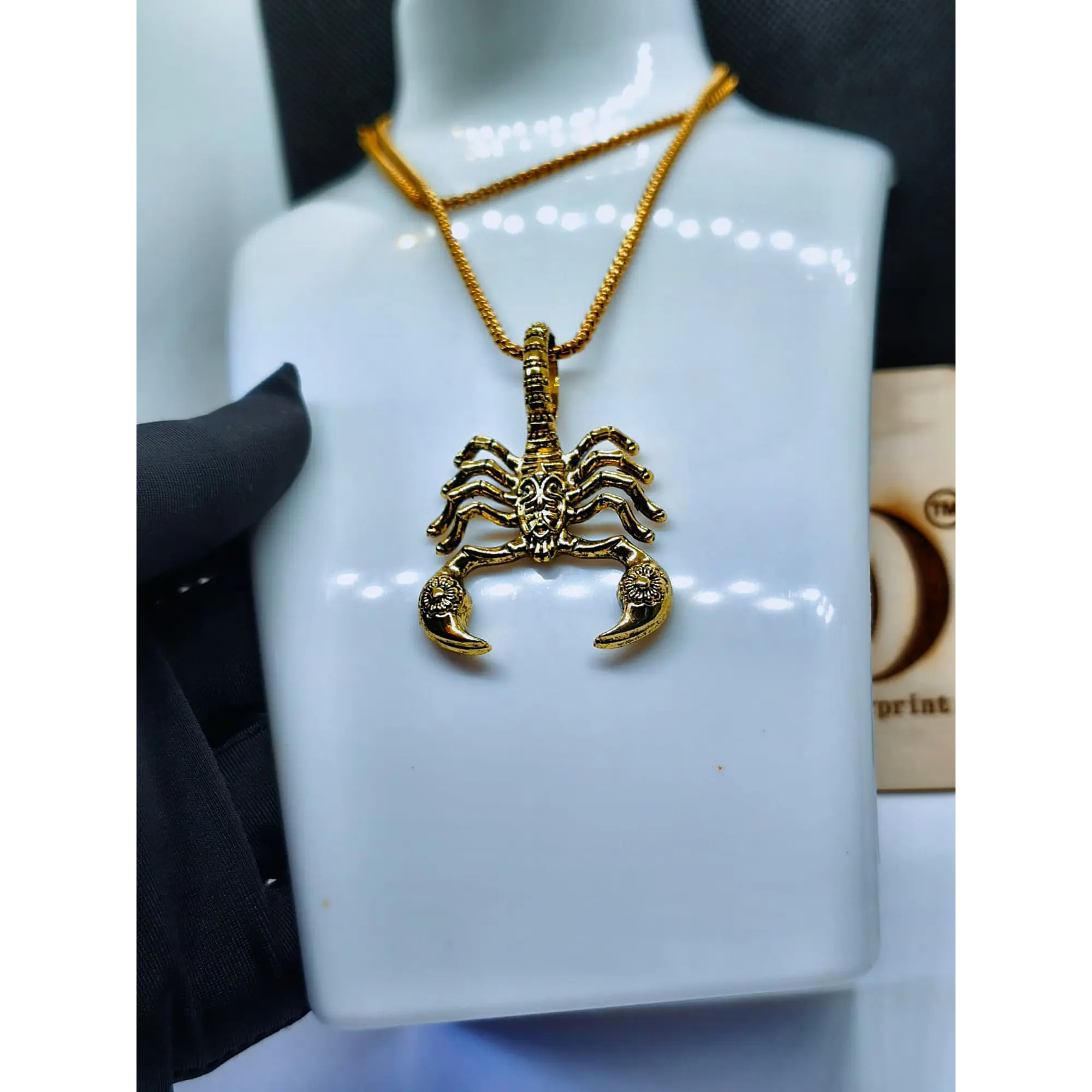 Colar com Pendente de Escorpião Dourado – Corrente de Aço Inoxidável 9