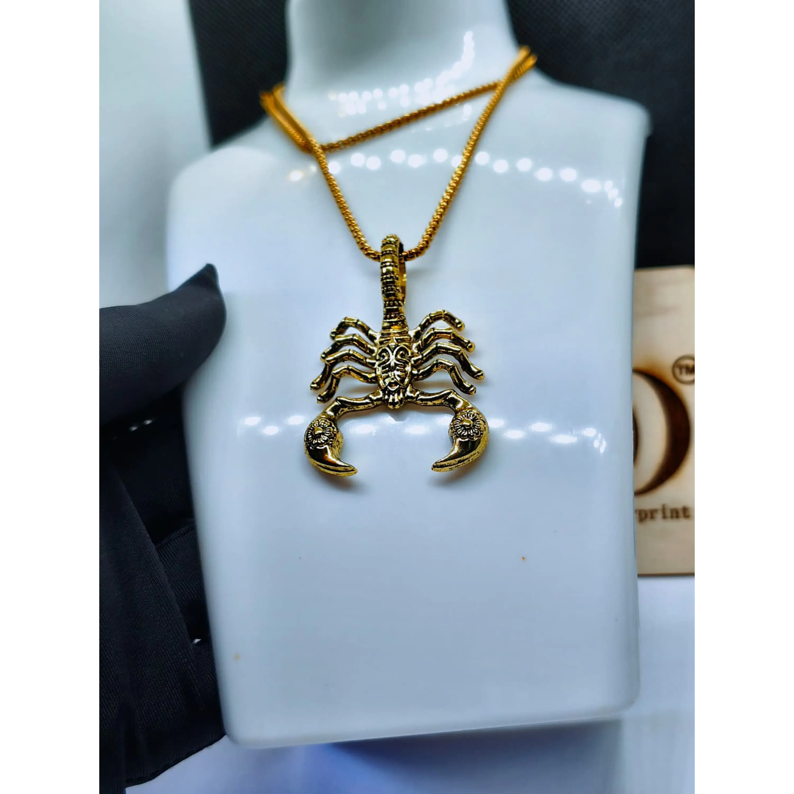 Colar com Pendente de Escorpião Dourado – Corrente de Aço Inoxidável 9
