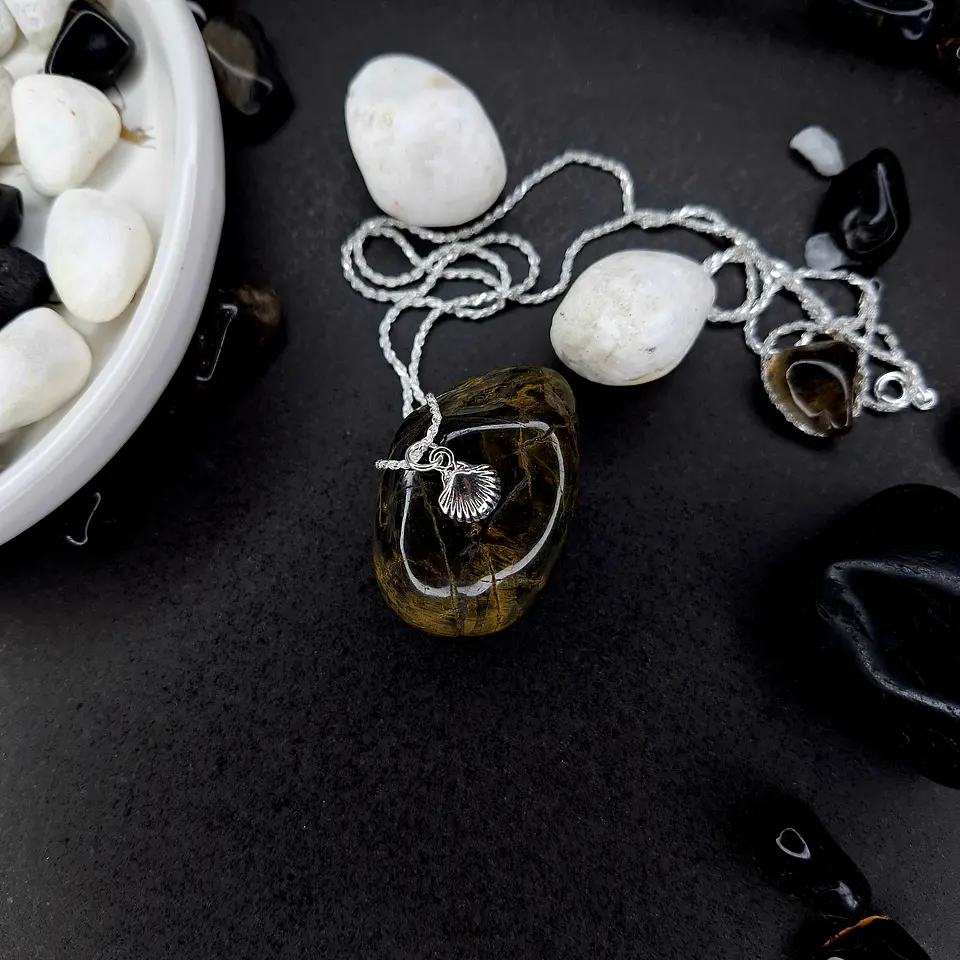 Colgante Concha de Mar de Plata 925 1