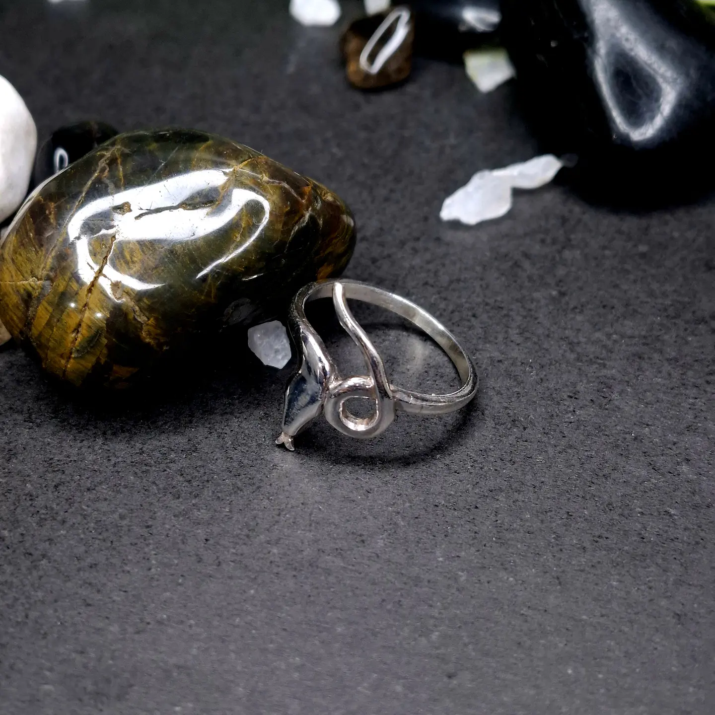 Anillo Serpiente de Plata 925 1