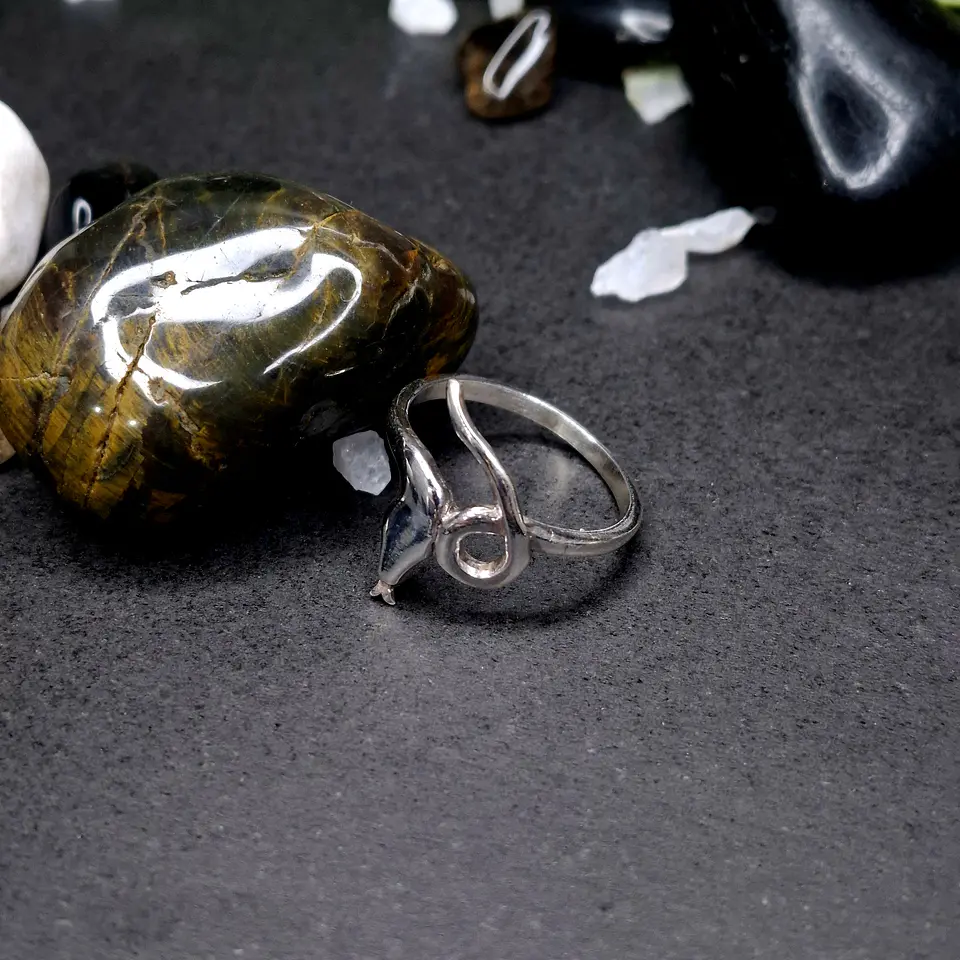 Anillo Serpiente de Plata 925 1