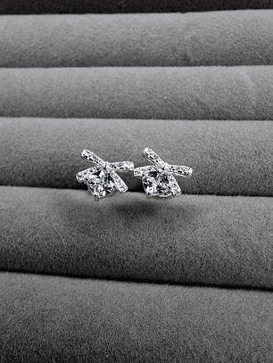 Aros de Moño con Circones de Plata 925