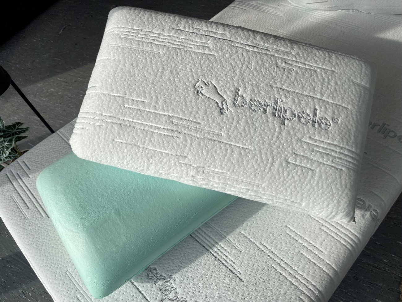 Almofada Ortopédica Viscoelástica SOJA 1