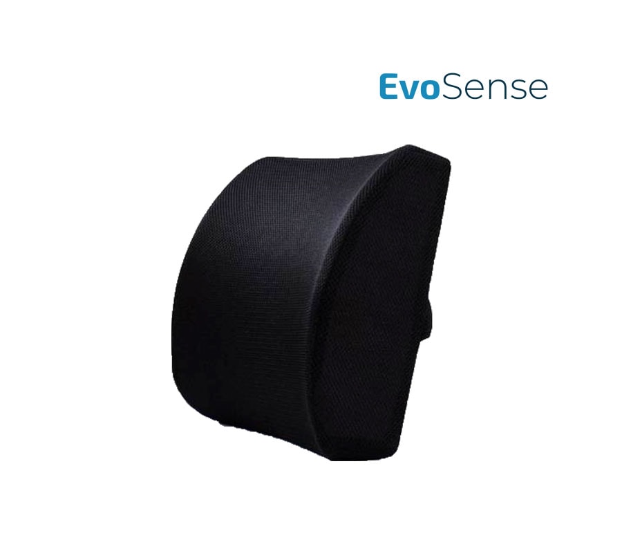 ALMOFADA LOMBAR EVOLUXION EVOSENSE 1