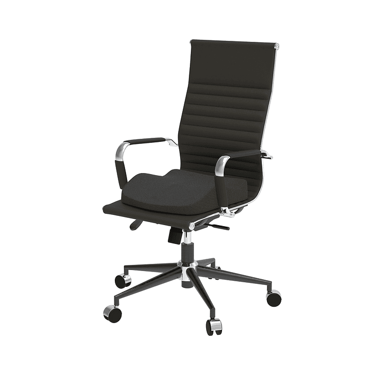 TM342 - Cojín 2 en 1 Theraplus Negro - Theramart 4