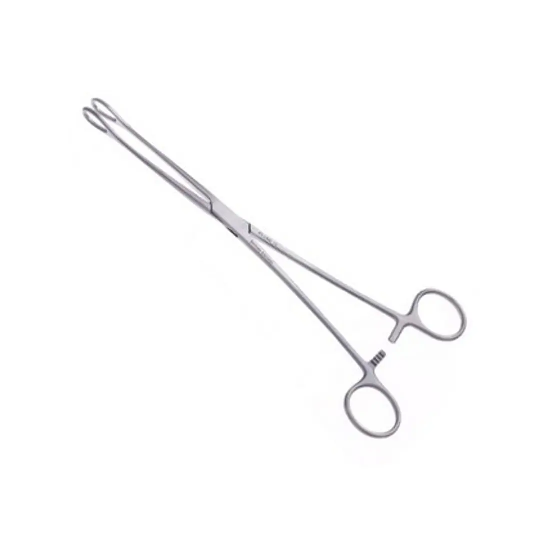 Pinza Foerster Recta Acero 25 cm 1