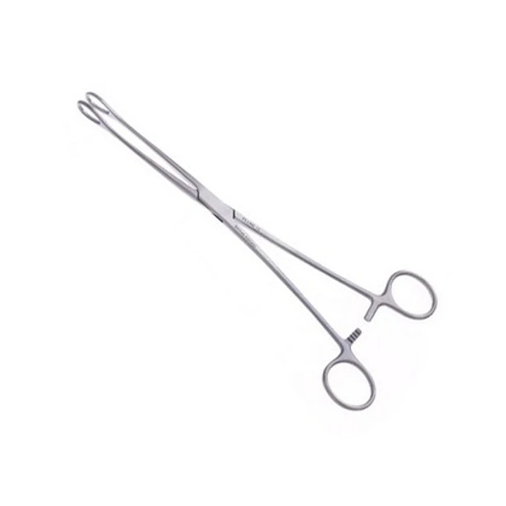 Pinza Foerster Recta Acero 25 cm 1