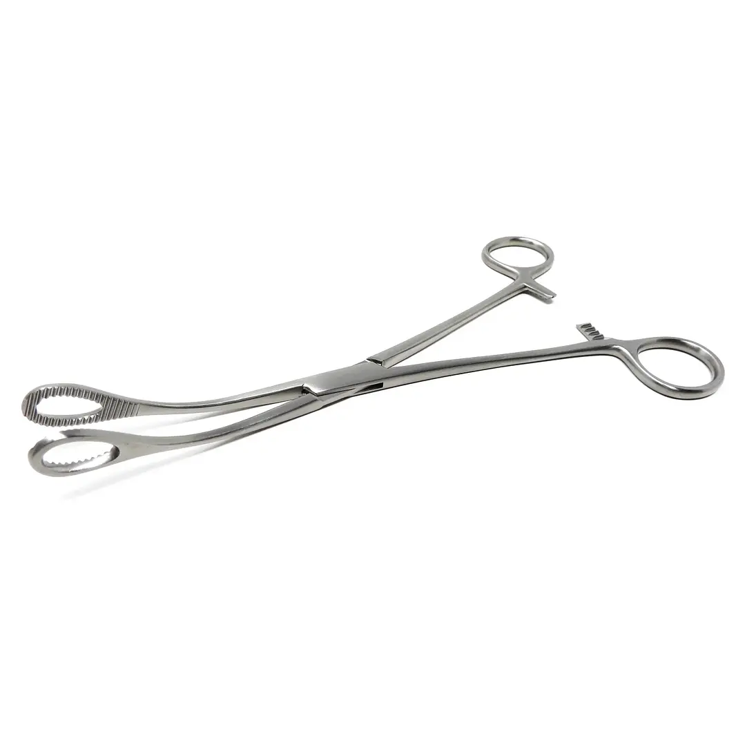 Pinza Foerster Recta Acero 25 cm 2