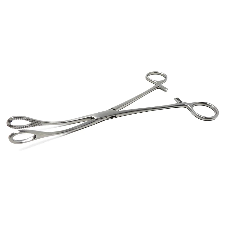 Pinza Foerster Recta Acero 25 cm 2
