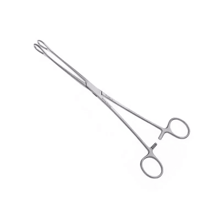 PINZA FOERSTER RECTA ACERO 20 CM 1