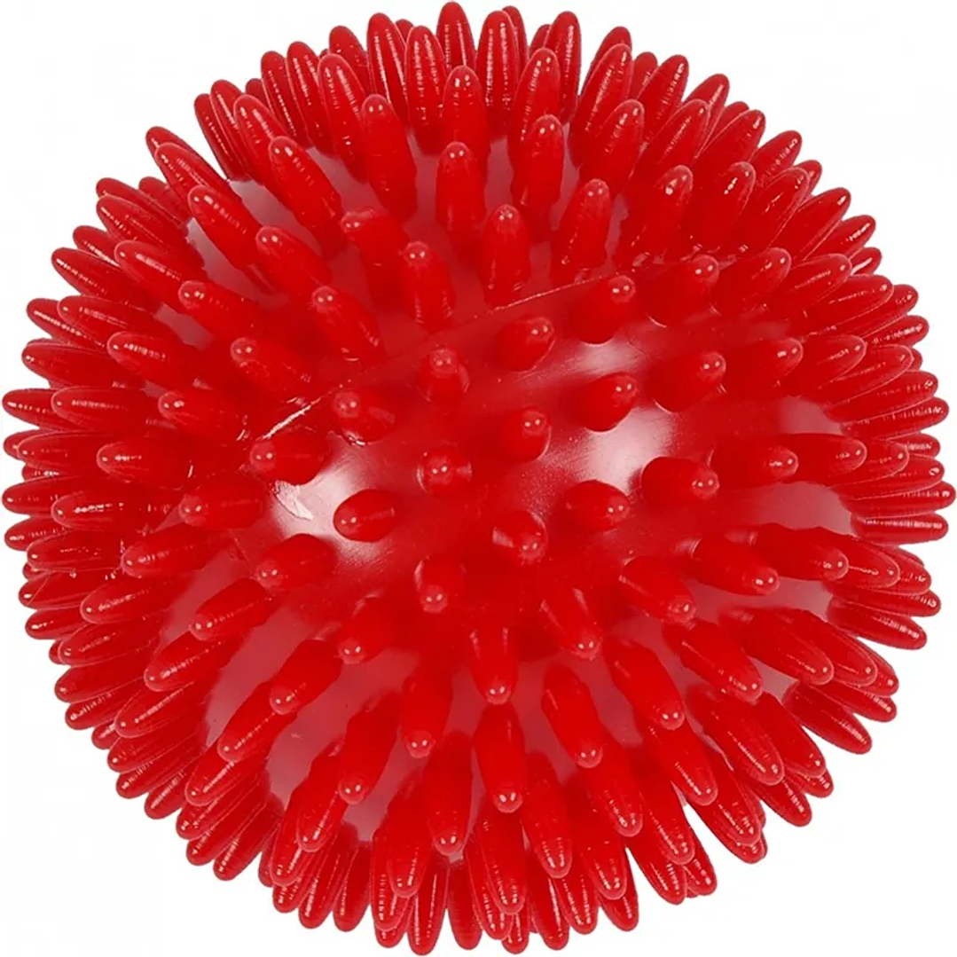 Pelota de Masaje Erizo - Tamaños 3