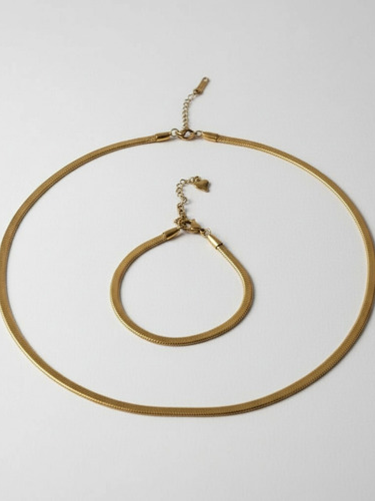 Gargantilla Choker + Pulsera Acero Y Oro 18k Serpiente Orvia 2