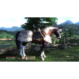 THE ELDER SCROLLS IV: OBLIVION GAME OF THE YEAR EDITION DELUXE (PC) - STEAM KEY - GLOBAL