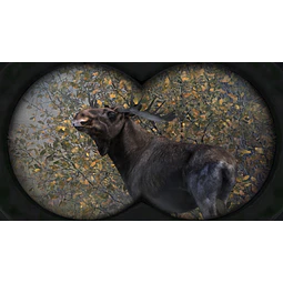 CABELA'S BIG GAME HUNTER PRO HUNTS STEAM KEY GLOBAL