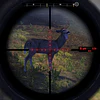 CABELA'S BIG GAME HUNTER PRO HUNTS STEAM KEY GLOBAL