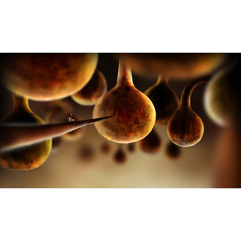 BOTANICULA STEAM KEY GLOBAL