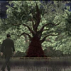 DEADLY PREMONITION: DIRECTOR'S CUT STEAM KEY GLOBAL