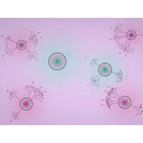 EUFLORIA STEAM KEY GLOBAL