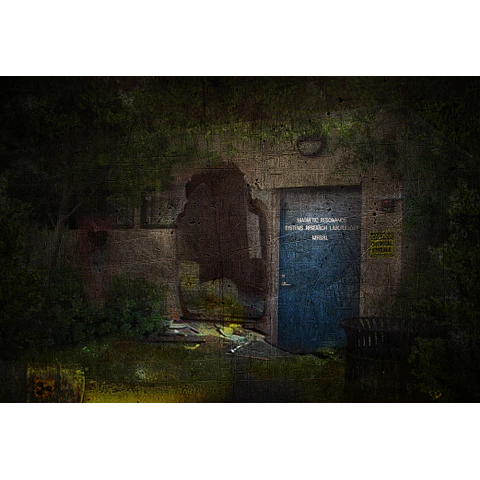 PARADIGM SHIFT STEAM GIFT GLOBAL