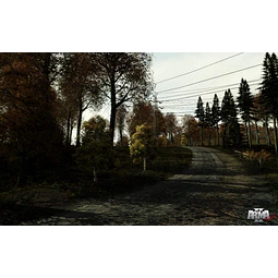 ARMA 2 STEAM GIFT GLOBAL