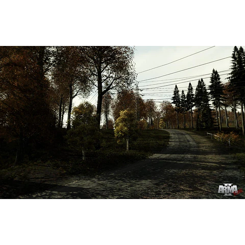 ARMA 2 STEAM GIFT GLOBAL