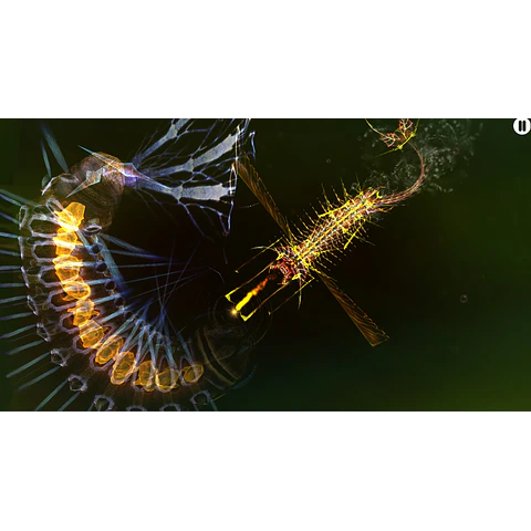 SPARKLE 2 EVO STEAM KEY GLOBAL