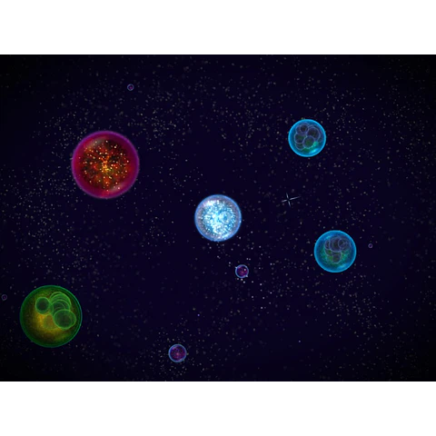 OSMOS STEAM KEY GLOBAL