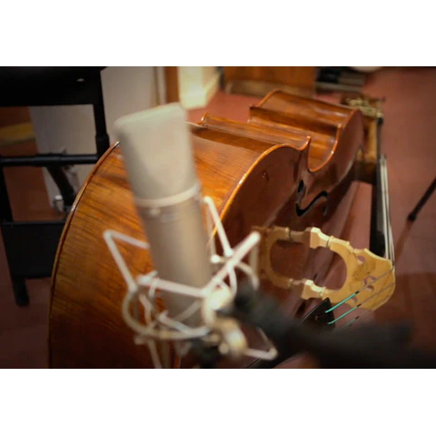 CRUSADER KINGS II - ORCHESTRAL HOUSE LORDS STEAM KEY GLOBAL