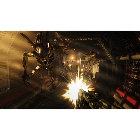 ALIENS VS. PREDATOR COLLECTION STEAM KEY GLOBAL