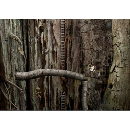 SAMOROST 2 STEAM KEY GLOBAL