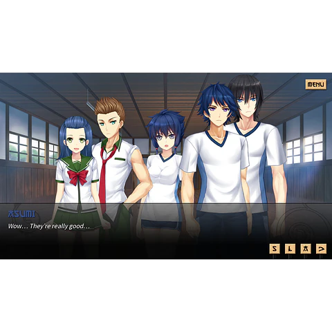 SWORD OF ASUMI DELUXE EDITION STEAM KEY GLOBAL