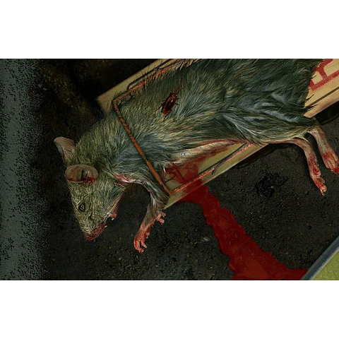 BAD MOJO REDUX STEAM KEY GLOBAL