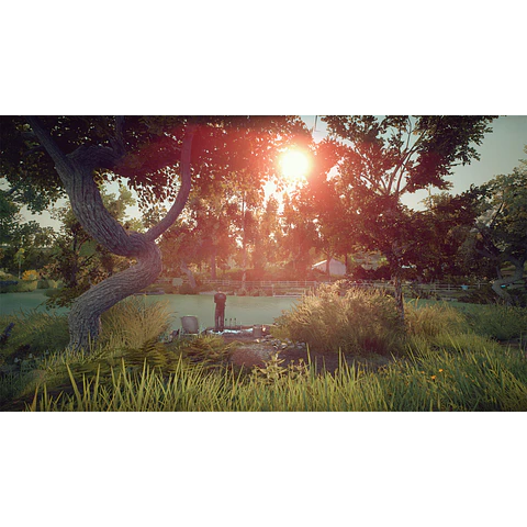 EURO FISHING STEAM KEY GLOBAL