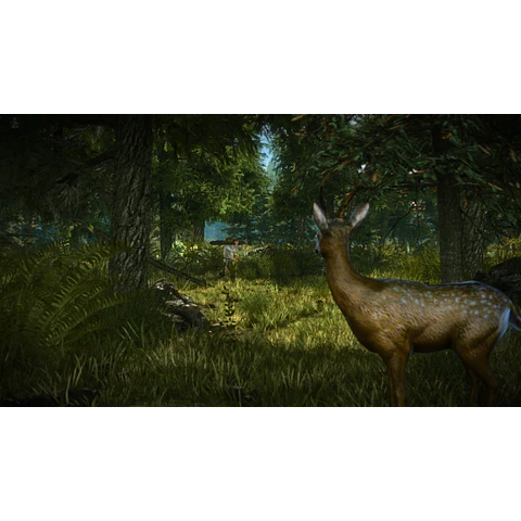 THE WITCHER 2 ASSASSINS OF KINGS ENHANCED EDITION STEAM GIFT GLOBAL