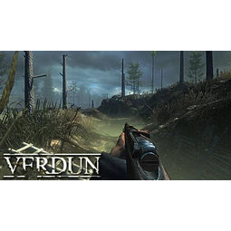 VERDUN STEAM GIFT GLOBAL